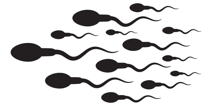 Human sperm swimming silhouette vector illustration