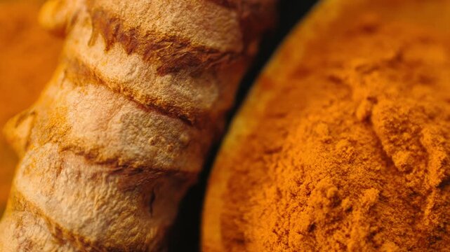 Turmeric root and turmeric powder close up, fresh curcuma rhizome with ground yellow spice and wooden spoon, indian ayurveda superfood ingredient