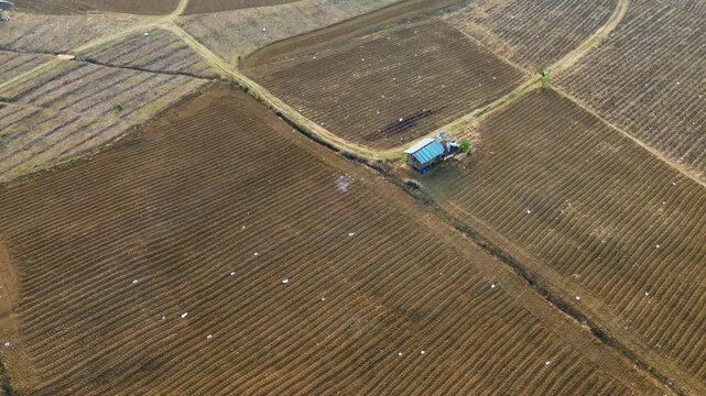 Drought in agricultural lands is primarily driven by climatic factors and extreme weather&mdash;such as very low rainfall&mdash;as well as human activities that compromise water availability and the environment.