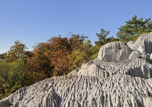 Karst formation on the Rilke path and the steep coast of Sistiana, Italy, Europe