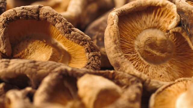 Dried shiitake mushrooms close up, pile of dry asian shiitake mushroom caps, chinese and japanese umami ingredient for soup, ramen and broth background