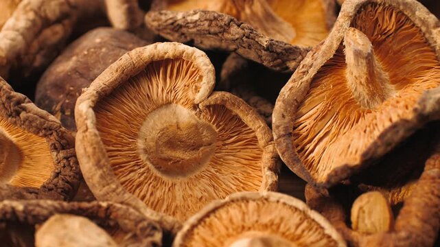 Dried shiitake mushrooms close up, pile of dry asian shiitake mushroom caps, chinese and japanese umami ingredient for soup, ramen and broth background