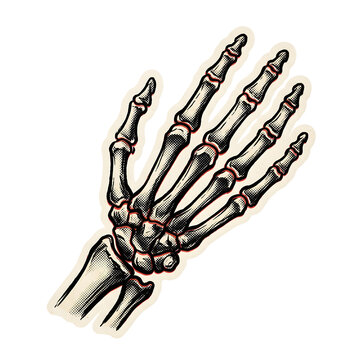 Vintage skeletal hand illustration featuring halftone dot patterns and red joint accents, isolated on a transparent background for medical, retro, or gothic design projects.
