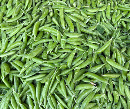 Pile of fresh snap peas at a market stand