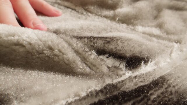 Fox fur texture, close up of fluffy beige and brown natural fur with hand touching, luxury fur collar for winter coat in fur shop from Turkish fur factory production