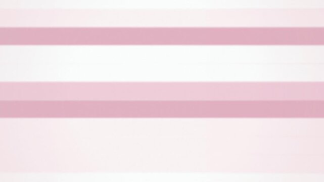 Pink horizontal lines glowing gently seamless loop motion background