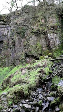 Originalton, Schwenk, Waterfalls, Melincourt Waterfalls Nature Reserve, Melincourt, Neath, Wales, Great Britain