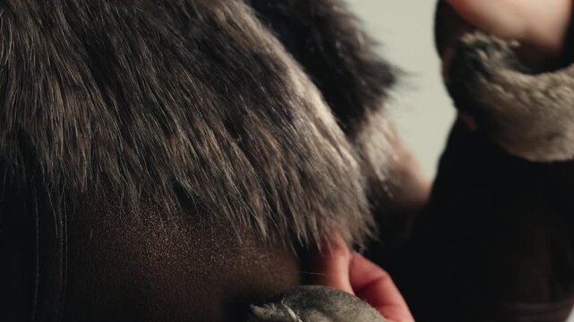 Sheepskin coat with fox fur collar, close up of woman in leather jacket with fluffy fur hood, warm shearling outerwear in fur shop from Turkish leather factory production