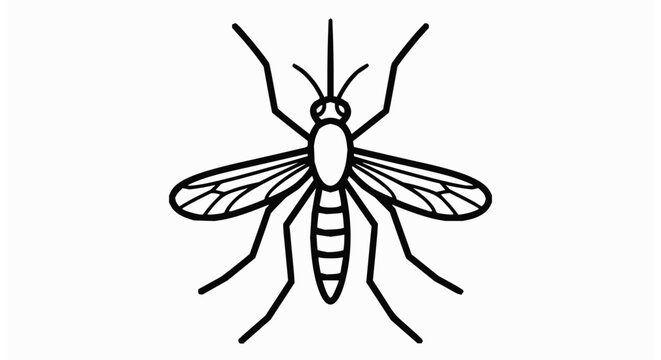 dragonfly vector illustration