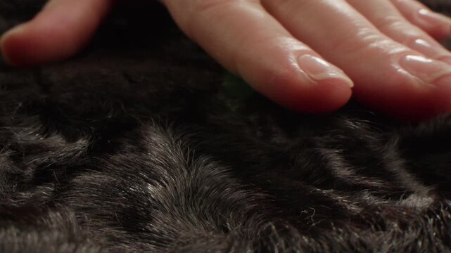 Hand touching soft faux fur texture, luxury winter coat, artificial jacket, texture textile close up. 