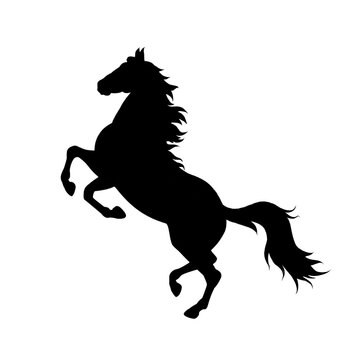 vector illustration of a horse silhouette standing, symbol icon logo