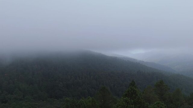 Aerial view rising over pine treetops to reveal fog-covered Oaxaca