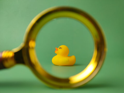 Yellow Rubber Duck Viewed Through Magnifying Glass