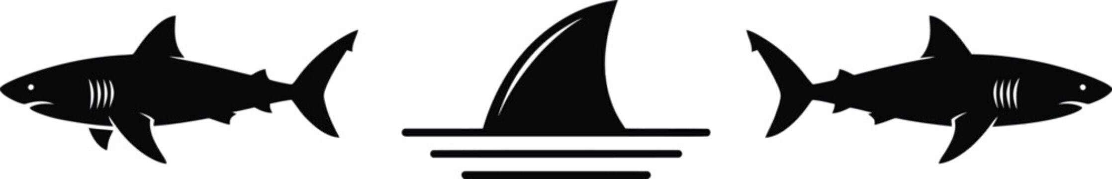 Shark swimming underwater and fin breaking ocean surface with sea life marine predator wildlife collection