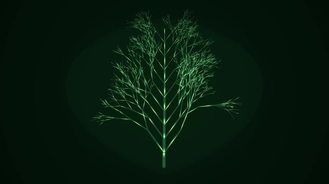 Organic Leaf Vein Network Architecture with Glowing Nutrient Flow for Biological and Botanical Research Visualization