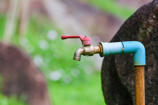 Blue outdoor water faucet with red handle and dripping spout, attached to weathered pipe beside dark stone in blurred green garden setting