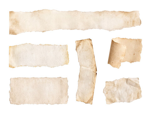 Seven old torn paper pieces with irregular shapes and curled edges