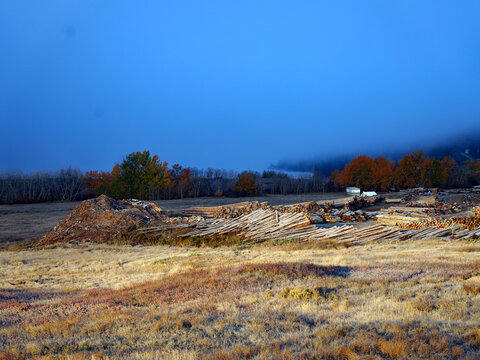 Piles of harvested timber and cut logs sit in an open rural field backed by autumn trees and lingering morning mist under a deep blue sky near Williams Lake in the Cariboo region of British Columbia