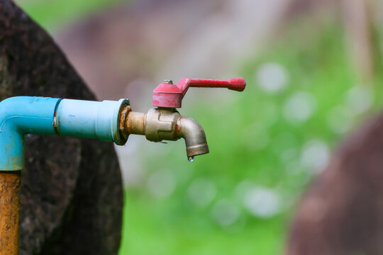 Outdoor water faucet attached to blue pipe beside tree, with red handle and single droplet against soft green background, suggesting conservation and utility