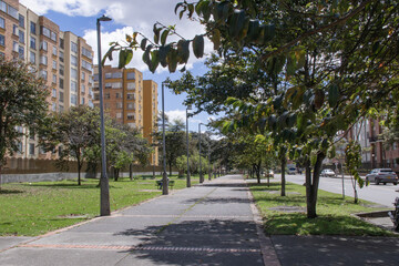 Forest + City © johansebastian