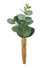 Fresh eucalyptus branch stem inserted into a rustic wooden handle with natural twine wrapping © Sapphire