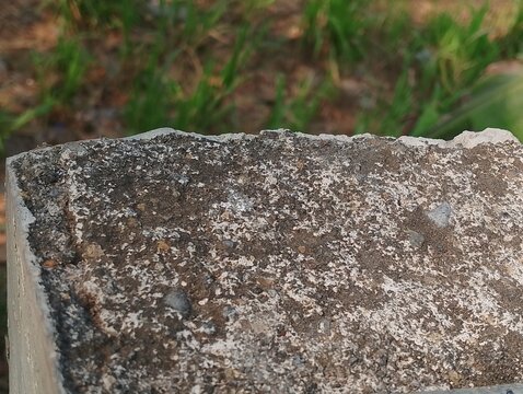 axe on log