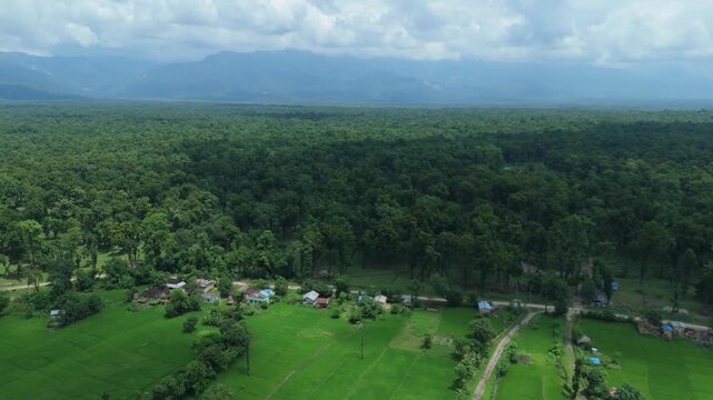 Wide aerial view of rural settlement along forest edge with green rice fields and mountain backdrop in Nepal