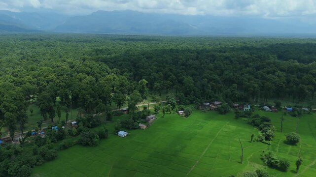 Aerial view of dense green forest edge meeting vibrant agricultural rice paddy fields and mountains in Nepal