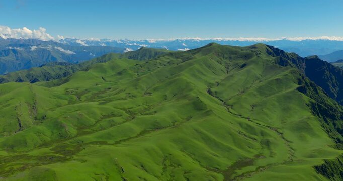 Badimalika region, Bajura, Nepal, drone sweeping shot over sprawling green alpine mountain ridges and rolling hills in Triveni Patan, revealing distant snow-capped Himalayan peaks under a blue sky.