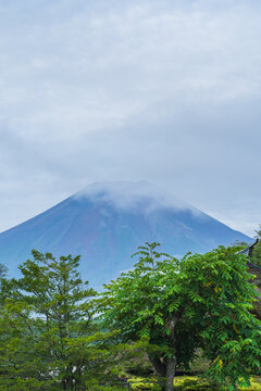 日本の風景【山梨県】忍野八海から見る夏の富士山