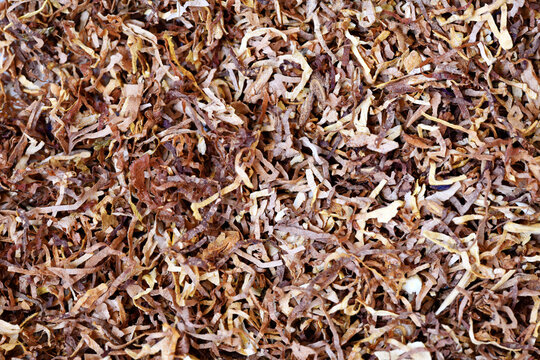 Close up of loose rolling tobacco for homemade cigarettes