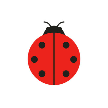 Red ladybug insect flat vector icon with black spots and symmetrical body design for nature education and garden themed graphics on transparent background layer.