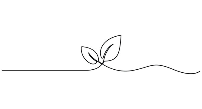 Continuous line drawing of two leaves on transparent background for nature and ecology concepts
