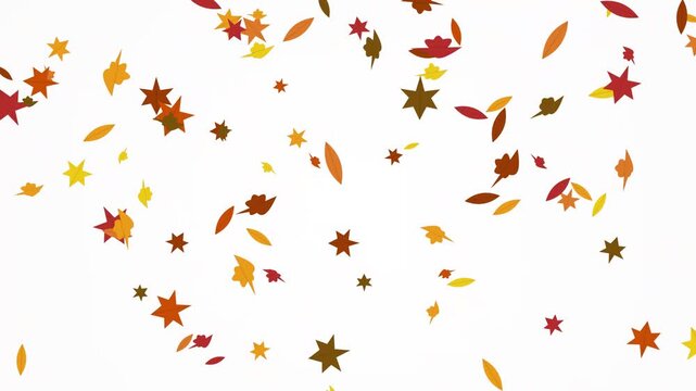 Animated autumn leaves and stars falling on white background in flat design motion graphics style.