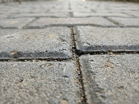 Close up view of grey concrete paving blocks on pathway with pavement sidewalk cobblestone construction interlocking material hardscape architecture exterior infrastructure