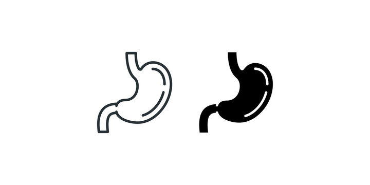 Human stomach organ anatomy icons for medical health and digestive system education.
