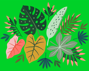 Vibrant Tropical Foliage Vector Illustration featuring Monstera and Palm Leaves on Bright Green Background © Pronob Kumar Ray
