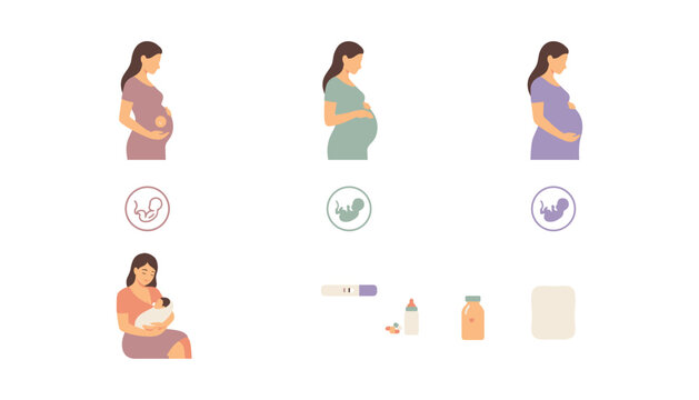 Pregnancy Trimesters and Motherhood Icon Set Featuring Pregnant Women Fetal Development Embryo Symbols Breastfeeding and Medical Care Test Elements