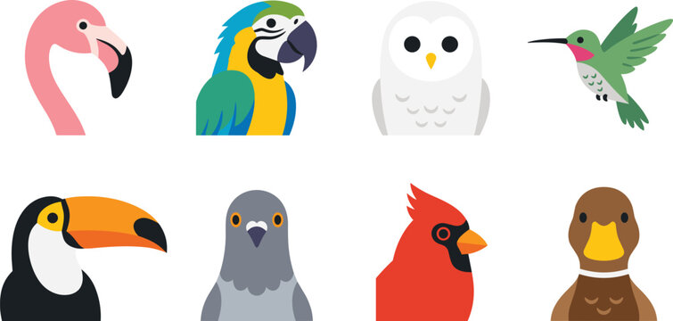 Colorful Bird Icons Set, Flat Minimalist Style featuring Flamingo, Parrot, Owl, Toucan for web vector graphic