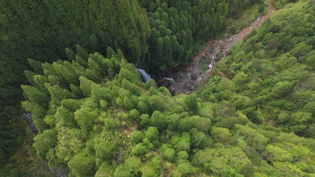 Sao Miguel island Das Lombadas waterfall flowing through green forest