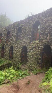 Janela do inferno ruins showing nature reclaiming structures