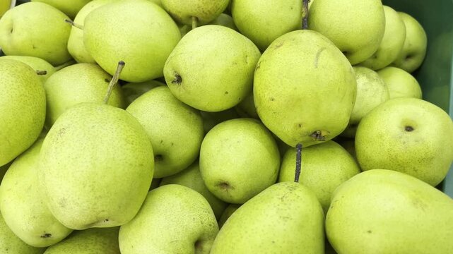 Organic raw sweet yellow pears stacked on market display