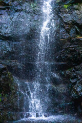 Waterfall cascading over dark wet rock face in forest © Mariia RUMEX