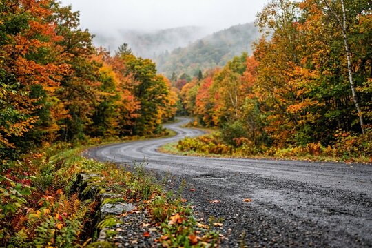 Close-up detail of Winding Country Road passing through Colorful Autumn Forests and Misty Hills nat