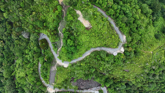 Aerial view of a winding road cutting through dense tropical green forest, showcasing lush vegetation, a scenic route, and the natural beauty of a forested landscape.