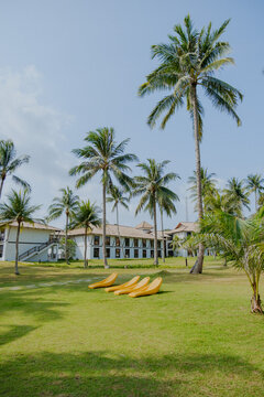palm trees on the nirwana garden resort beach