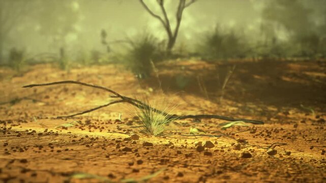 Golden sunlit plain with scattered grass and warm ochre tones, soft lowangle light highlighting textured soil, long shadows and expansive open atmosphere ideal