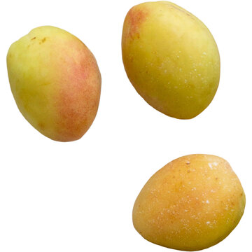 Three ripe apricots arranged on a plain white surface with a top-down view of fresh sitting clean bright background stone fruit prunus armeniaca raw food summer