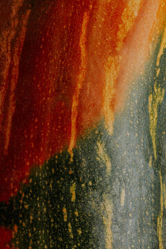 Pumpkin skin texture background with mottled orange pattern