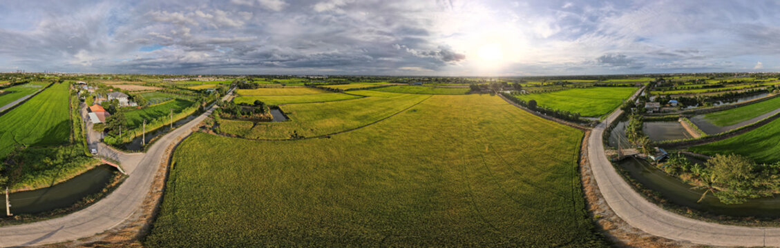 360-degree aerial panorama drone view of a lush green rice field and countryside landscape during sunset in Thailand.